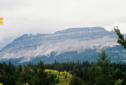 [Very tall wide flat-faced mountain top has a whitish segment of rock running the width of the mountain below a dark segment of rock at the top. There are trees on this mountain, but they are way below these sements of rock. The ground in front of the camera is quite full of trees.]